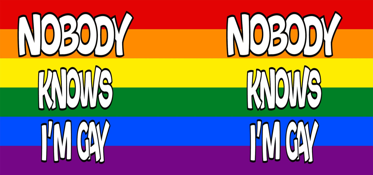 Nobody Knows I'm Gay Heat Colour Changing Mug