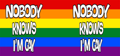 Nobody Knows I'm Gay Heat Colour Changing Mug