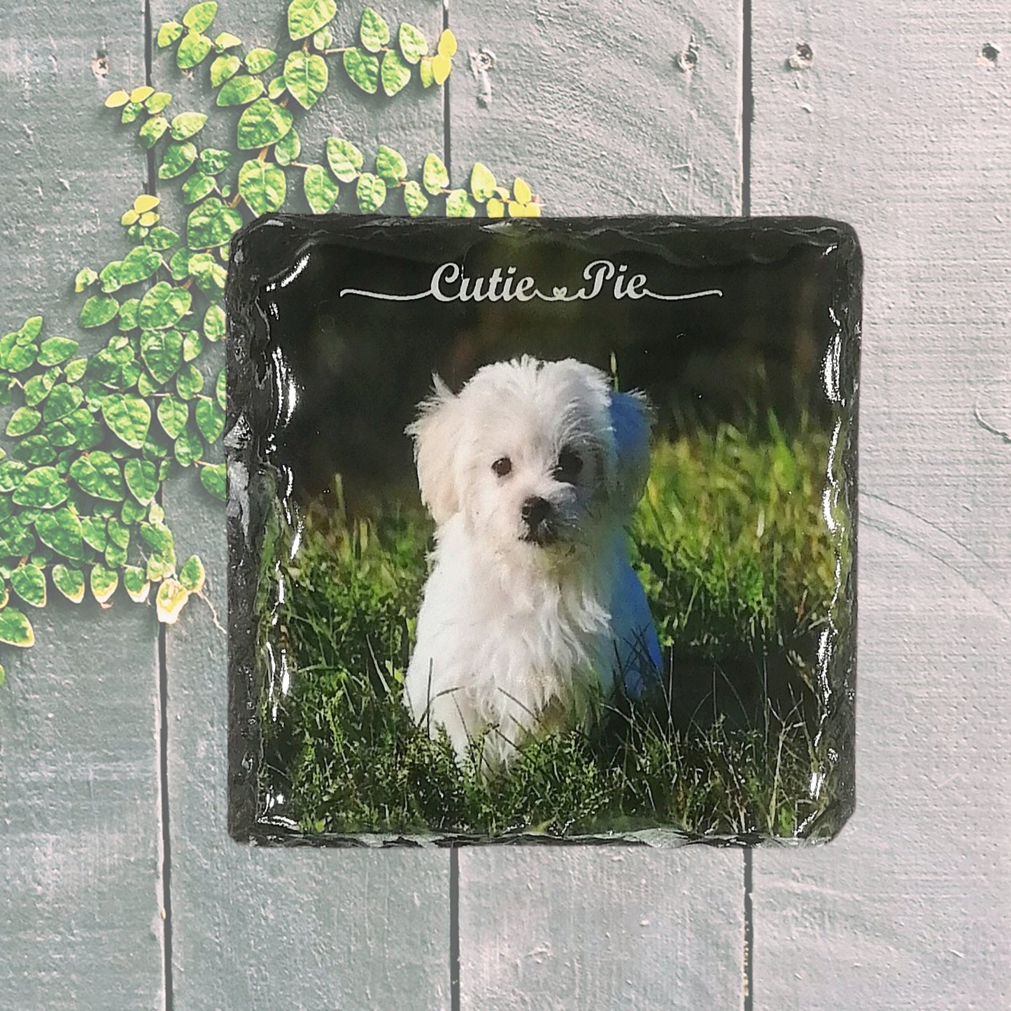 Personalised Drink Coasters up to a  Set of 4, Rock Slate, Custom Slate Photo Coaster Using Your Own Photos