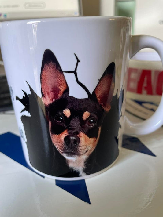 you cant buy happiness but you can buy a min pin which is just as good MUG can be personalized
