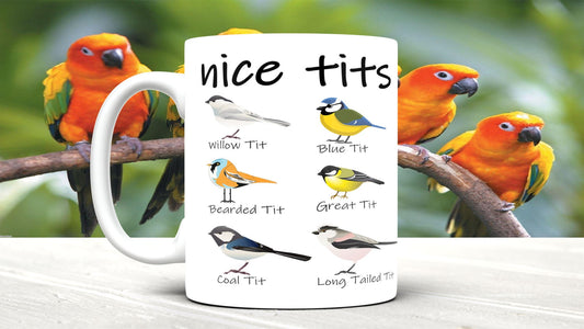 Nice Tits Bird Mug - Funny Ceramic Coffee Mug Gift