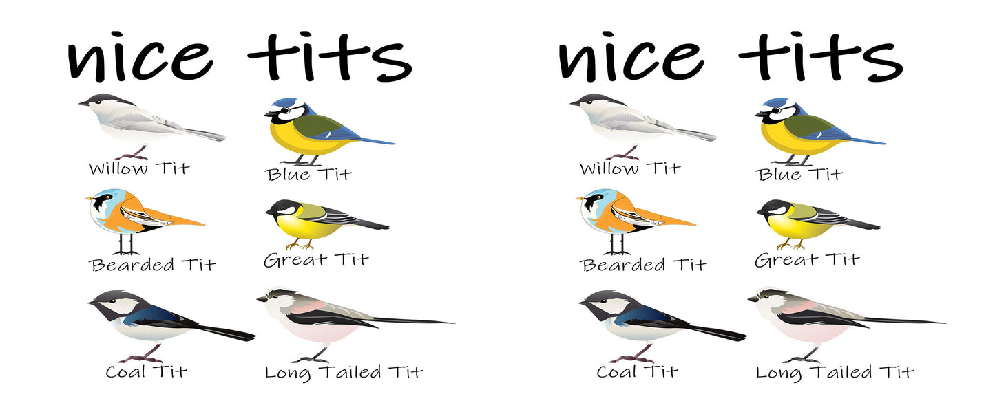 Nice Tits Bird Mug - Funny Ceramic Coffee Mug Gift